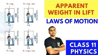 APPARENT WEIGHT IN LIFT ELEVATOR  CLASS 11 PHYSICS  LAWS OF MOTION [upl. by Aicirpac]