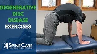 Degenerative Disc Disease Exercises  SpineCare St Joseph MI Chiropractic [upl. by Atteram]