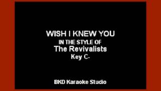 Wish I Knew You In the Style of The Revivalists Karaoke with Lyrics [upl. by Jaime]