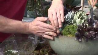 How to Plant a Cactus Garden [upl. by Noid]