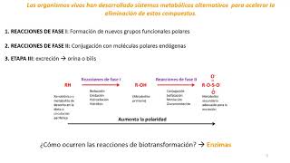 Metabolismo de Xenobióticos y biotransformaciones [upl. by Clotilda]