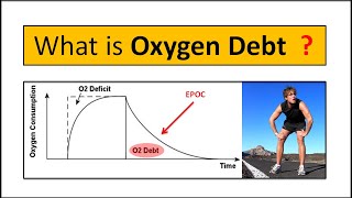 What is Oxygen Debt  Explained in Detail with Easy Examples  What is EPOC [upl. by Adiam714]