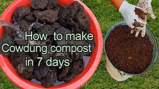 How to make compost from cow dung  How to decompose cow dung [upl. by Lyons]